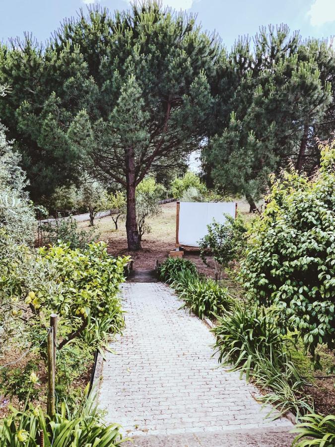 Casa Jone Villa Томар Екстериор снимка